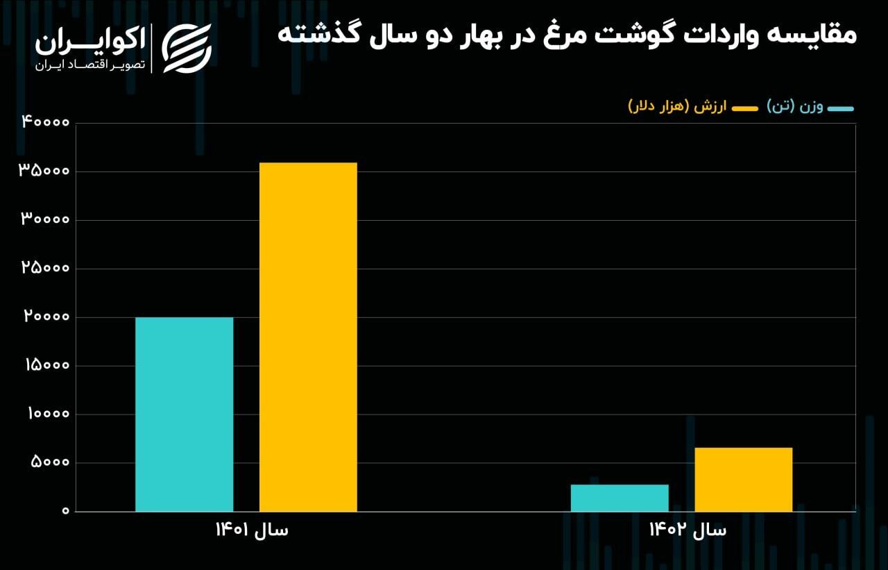 علت گرانی مرغ مشخص شد 2