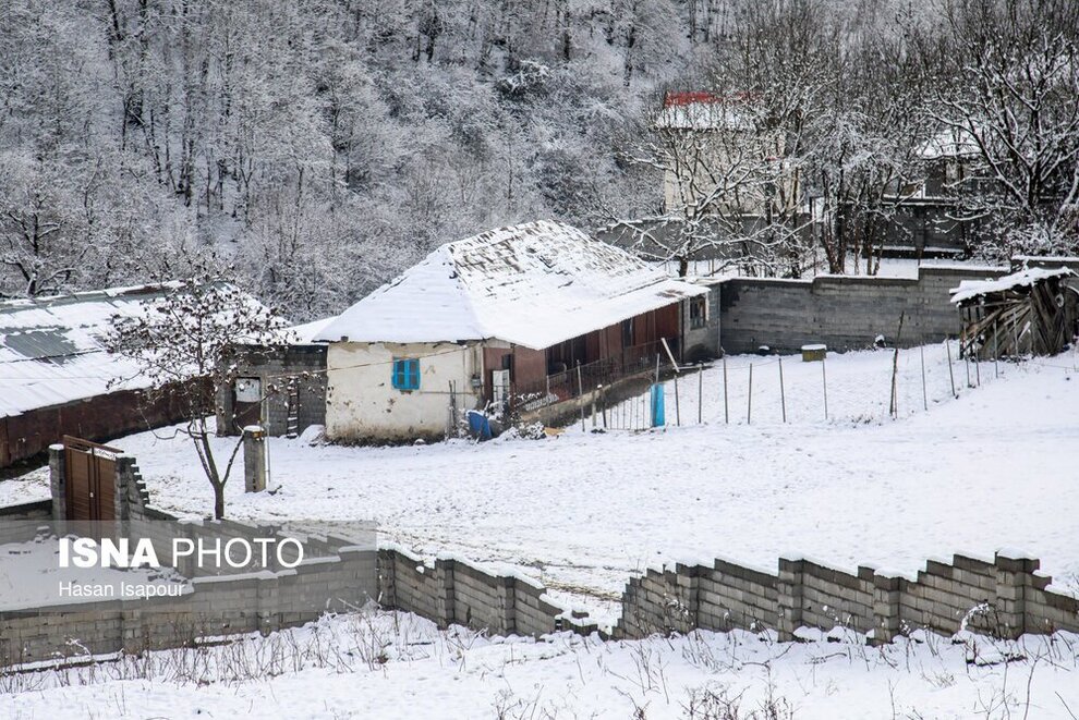 تصاویر زیبا از بارش برف در شمال ایران + عکس 3