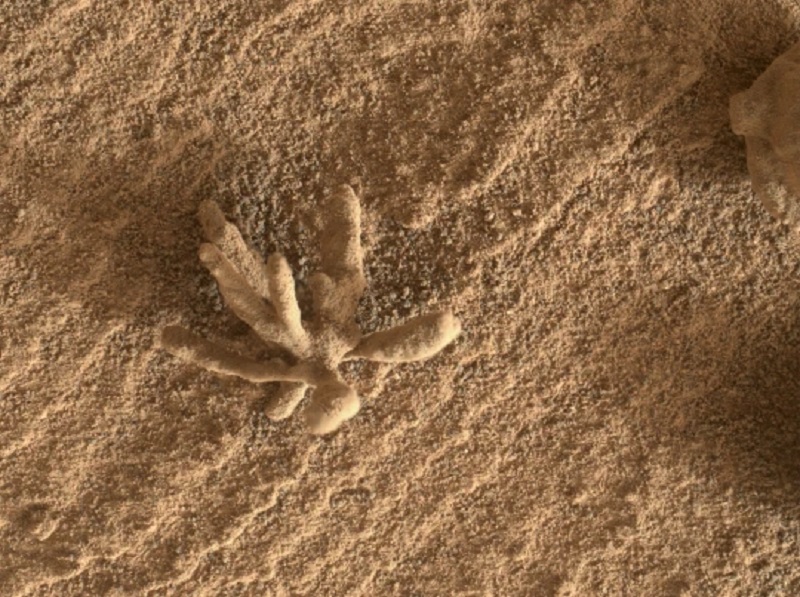 این تصاویر رنگی از مریخ وایرال شد