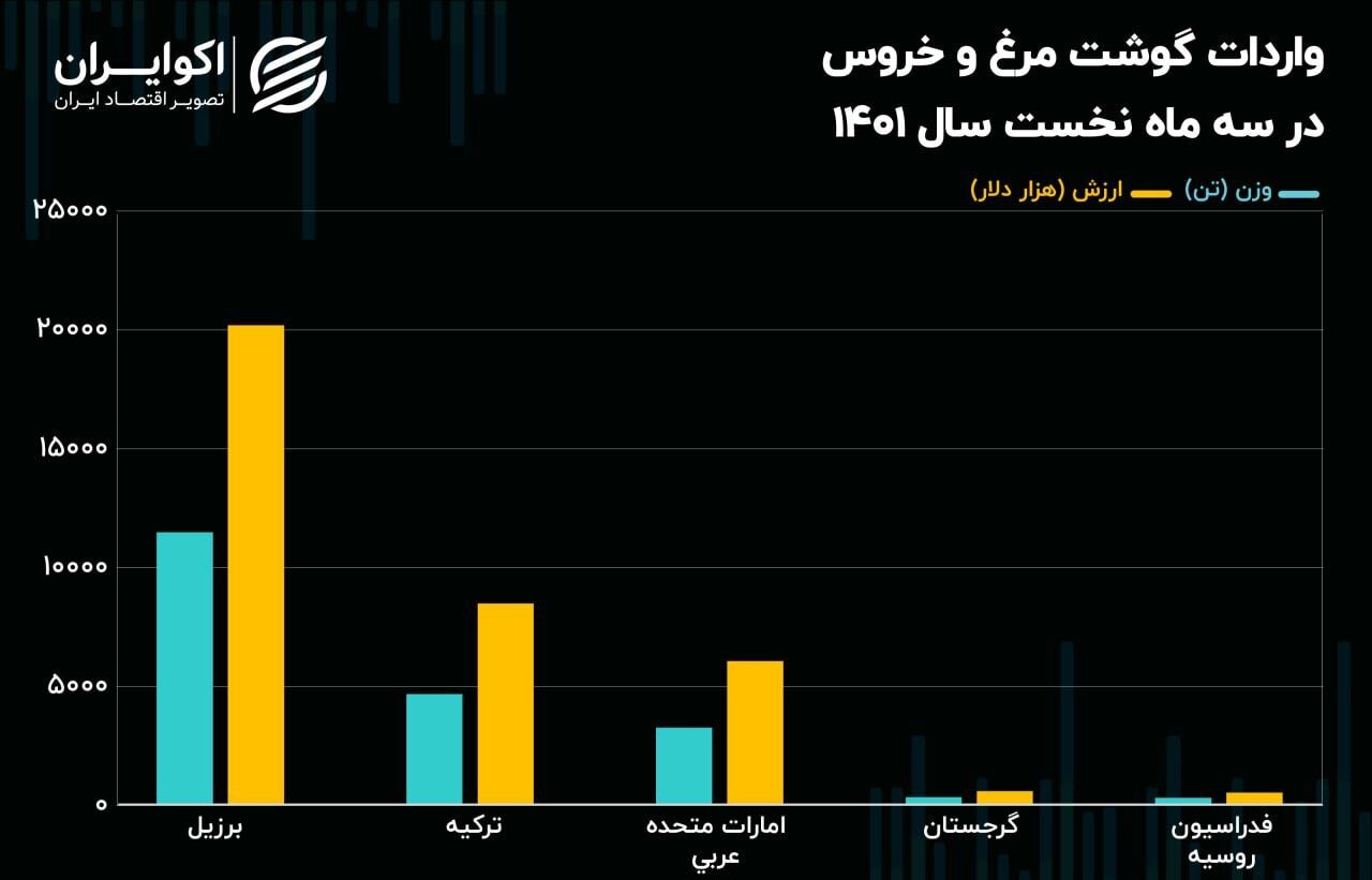 علت گرانی مرغ مشخص شد 4