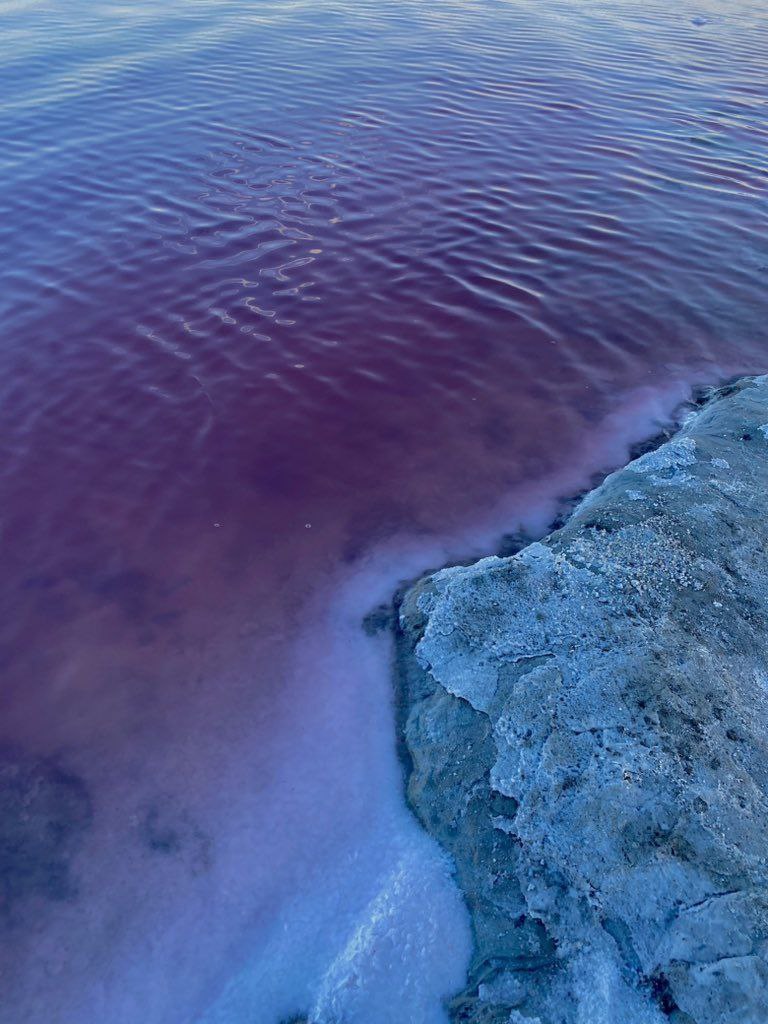 تصاویری شگفت‌انگیز از حال خوب دریاچه ارومیه 2