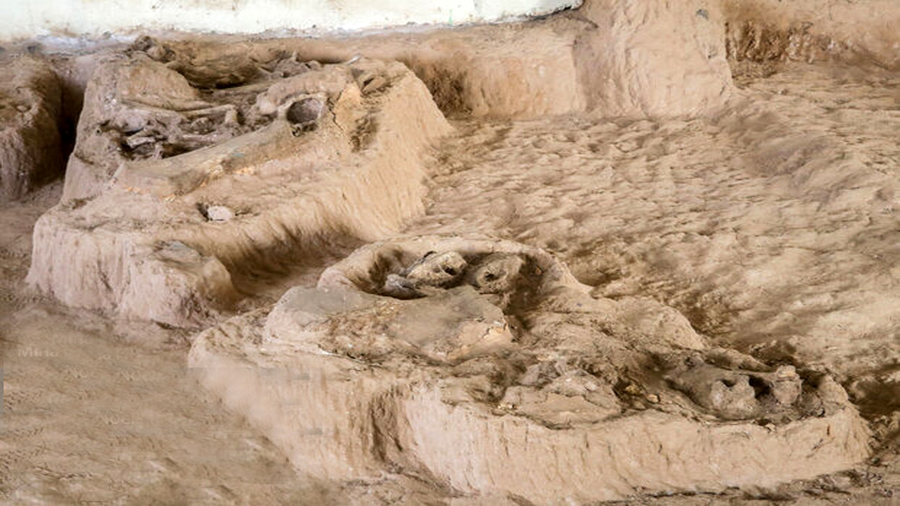 کشف گنج و فسیل ۲هزار ساله در اسلامشهر