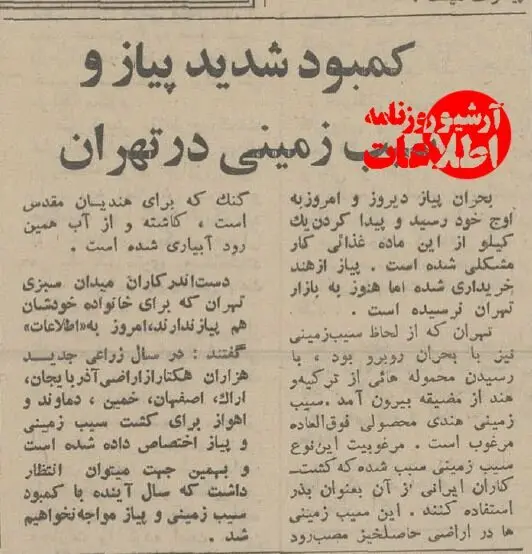 پیاز