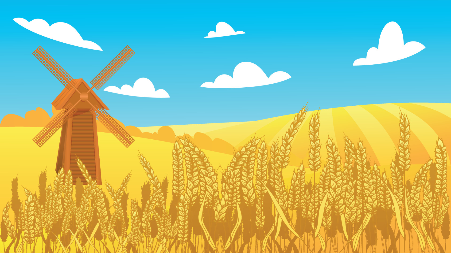 قیمت گندم بدون تغییر | قیمت گندم منتظر وزیر جدید کشاورزی 2