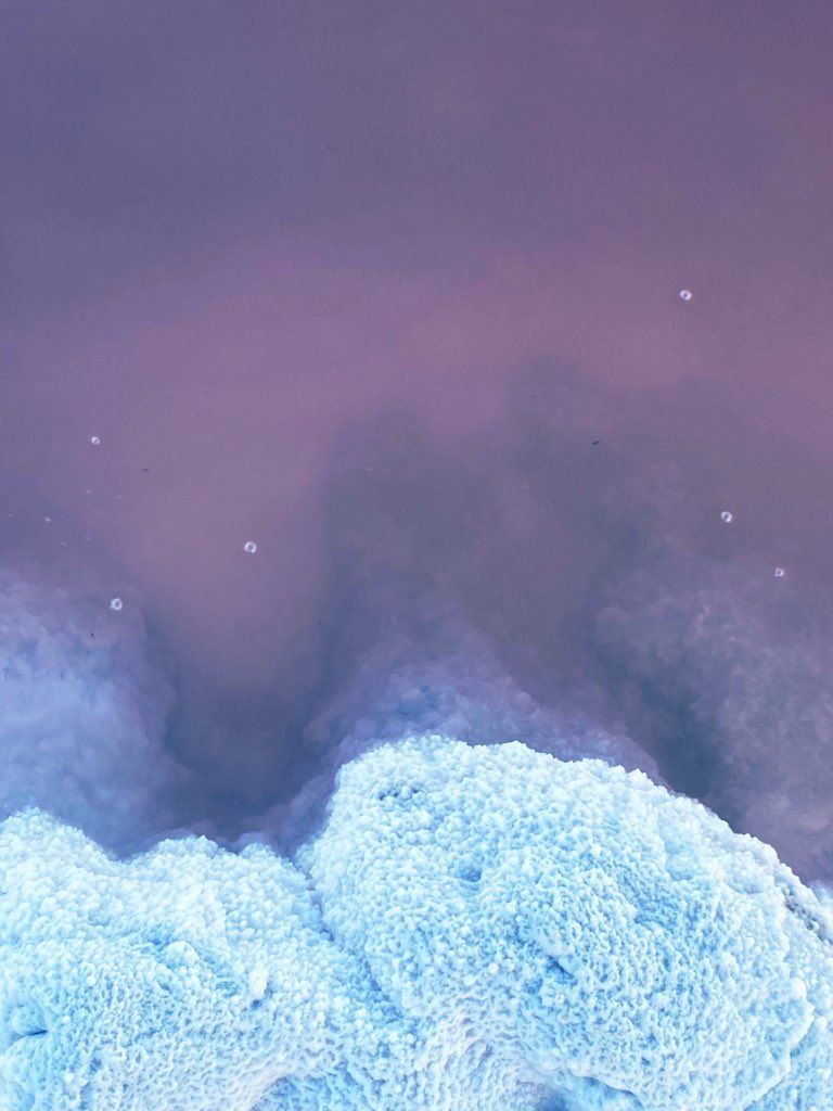 تصاویری شگفت‌انگیز از حال خوب دریاچه ارومیه 5