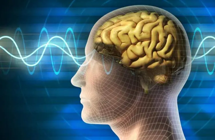 با این ترفندها حافظهتان را از تنبلی و زوال نجات دهید 2