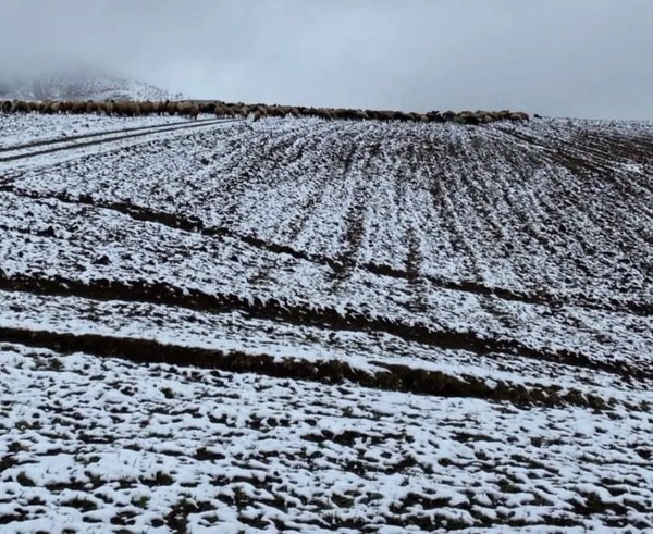 بارش برف تابستانی