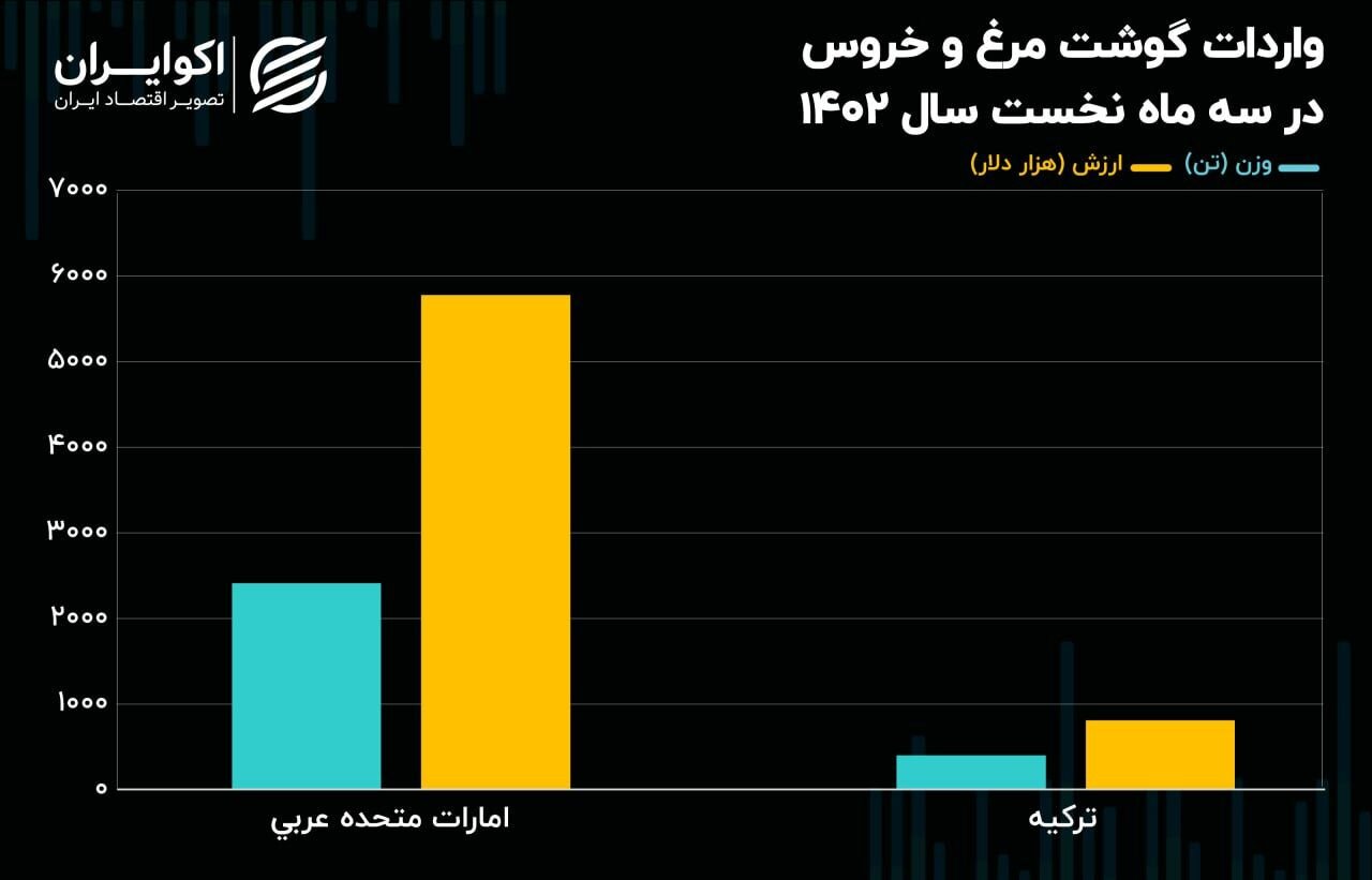 علت گرانی مرغ مشخص شد 3