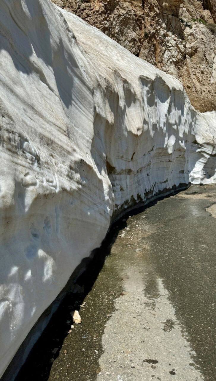 بارش عجیب برف در اولین روز از تابستان + عکس 2