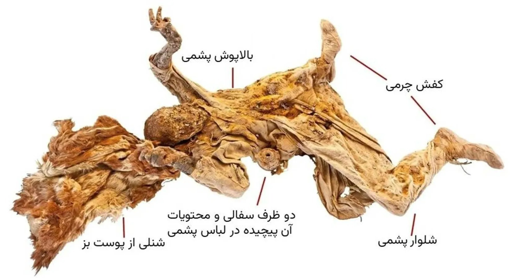 اسرار مردان نمکی ایران باستان کشف شد 3