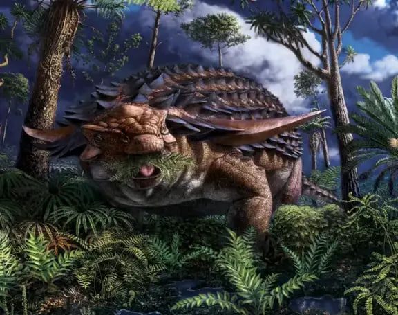فسیل سالم دایناسور زره پوش پس از ۱۰۰ میلیون سال!