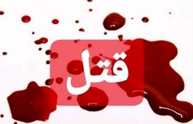 قتل پاکبان شهرداری تهران در اتوبان نیایش / اعتراف عجیب و سیاسی قاتل