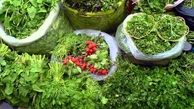 قیمت سبزی خوردن سر به فلک کشید/ هر کیلو 155 هزارتومان!