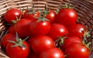  افزایش 5 هزارتومانی قیمت پیاز و گوجه فرنگی