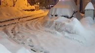 این مناطق در تهران زیر بارش برف مدفون شدند

+فیلم