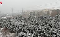 بارش شدید برف در بام تهران +فیلم
