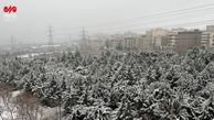 بارش شدید برف در بام تهران +فیلم