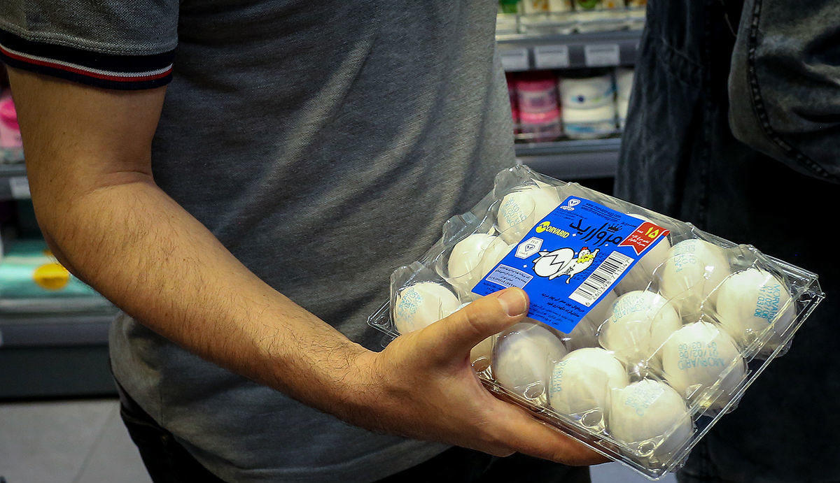 فروش تخم‌مرغ ۱۵ تا ۲۰ درصد ارزانتر از نرخ مصوب