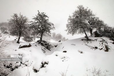 بارش برف کردستان