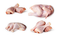 قیمت دستوری در بازار، مرغ را گران‌تر کرد