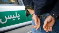 زورگیران جنجالی شمال تهران بازداشت شدند