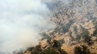 ویدئو| جنگل‌های مریوان همچنان در آتش می‌سوزند