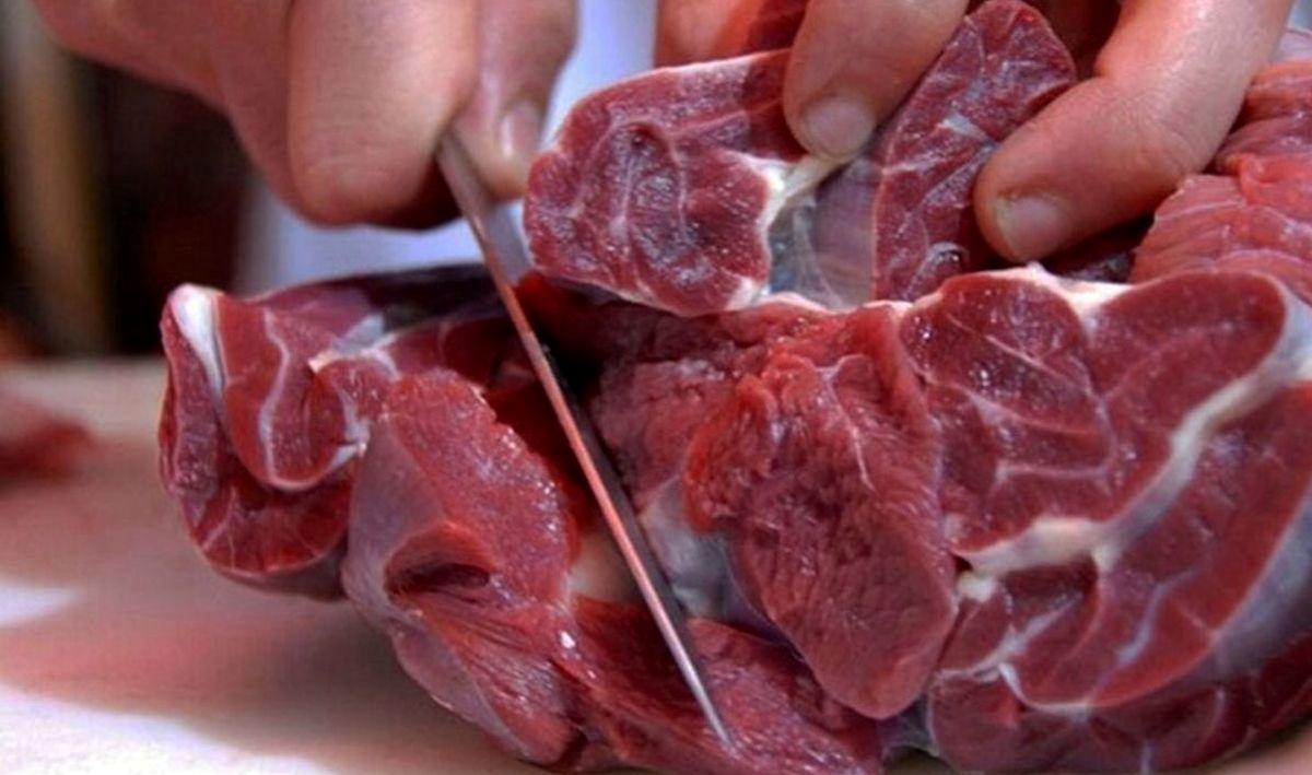 فروش گوشت اسب بیمار در این شهر ایران
