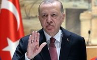 استفاده مجدد اردوغان از ضرب المثل ایرانی / ویدئو