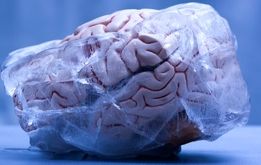 دستیابی محققان چینی به فرمول بازگرداندن  مغز  انسان   به حیات