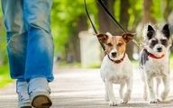 جزئیات جدید از ممنوعیت ورود سگ‌ها به پارک‌ها 