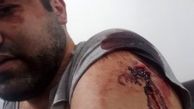 حمله هولناک به یک استاد دانشگاه با چاقو در کرج + عکس