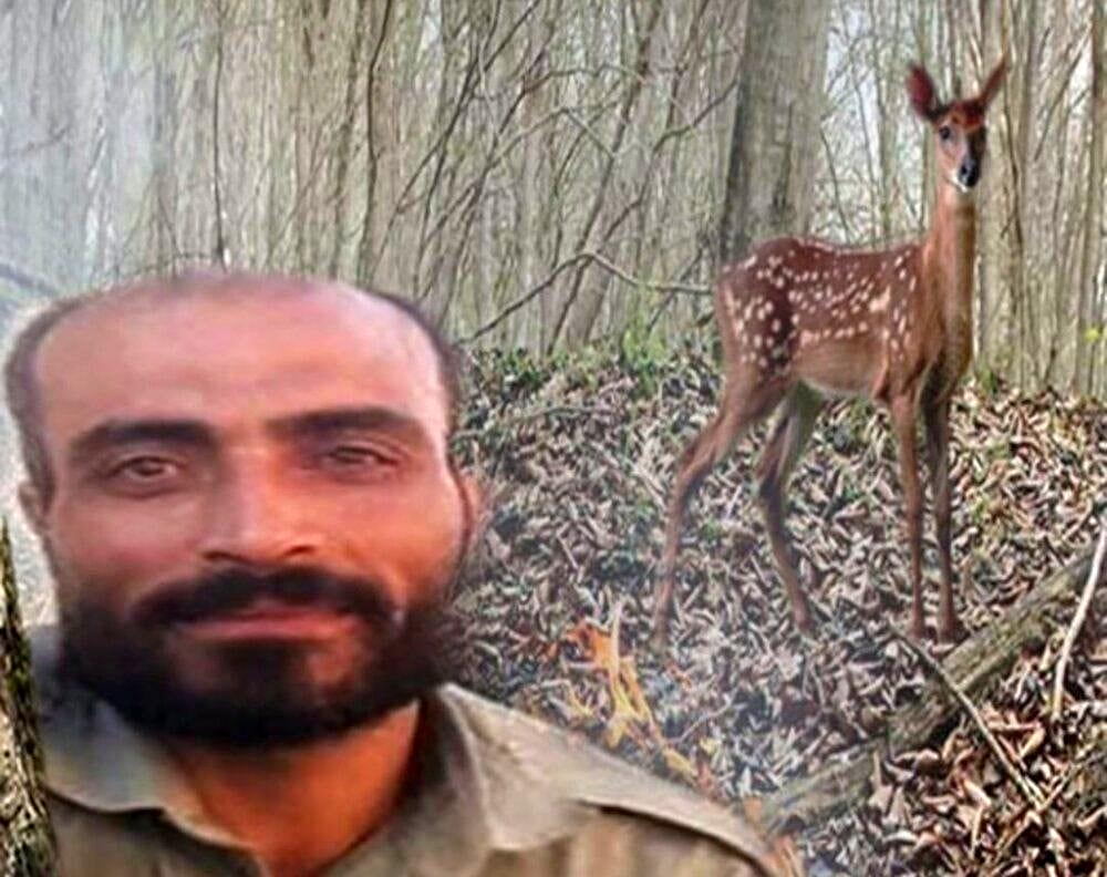 دادستان جزئیات قتل محیط‎بان کرمانشاهی را اعلام کرد
 