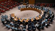  آمریکا خواستار نشست شورای امنیت درباره ایران شد