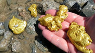 ببینید| کشف باورنکردنی یک کوه پر از گنج و طلا!