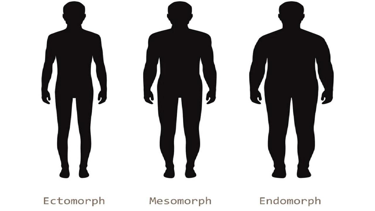 شکل بدن روی سلامتی هم تاثیر دارد؟