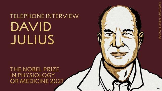 انتخاب برنده نوبل پزشکی ۲۰۲۱ | جولیوس :پس از برنده شدن، با مادرم صحبت کردم