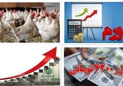 حمله ارگان رسانه‌ای  وابسته به سپاه به دولت انقلابی بخاطر  گرانی شدید مرغ