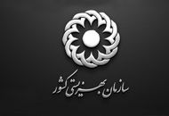 سرپرست سازمان بهزیستی منصوب شد/ سیدجواد حسینی کیست؟ 