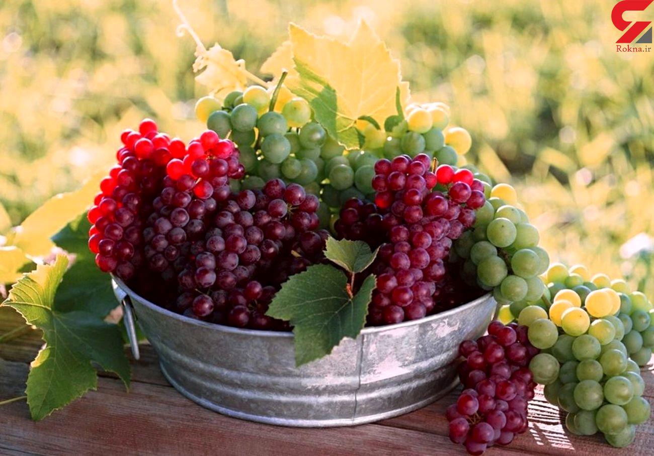 دانه‌های انگور را دور نریزید | آشنایی با خواص معجزه‌آسای میوه بهشتی