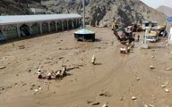 واکنش استاندار تهران به خبر مدفون شدن ۲۰۰ نفر در سیل امام زاده داوود