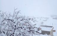 ببینید| این روستا در برف گم شد!