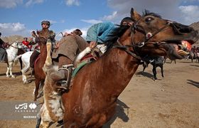 مسابقات بُزکشی در افغانستان + عکس