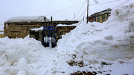 اعلام وضعیت قرمز در کوهرنگ | آذوقه مردم به پایان رسیده و خانه‌ها زیر برف مدفون شده‌اند + فیلم و تصاویر 