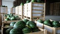 صادرات بیش از ۸۰۰ هزار تن هندوانه یا آب؟