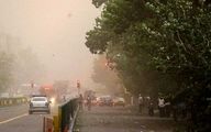 طوفان شدید در تهران | درخت خیابان دانشگاه تهران سقوط کرد! +عکس