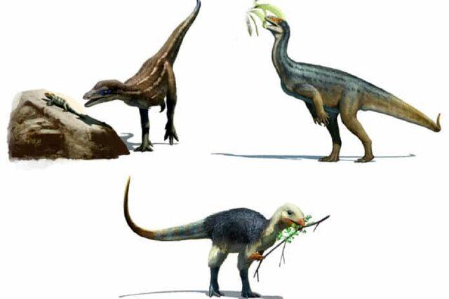 دایناسورهای اولیه چه غذایی می‌خوردند؟