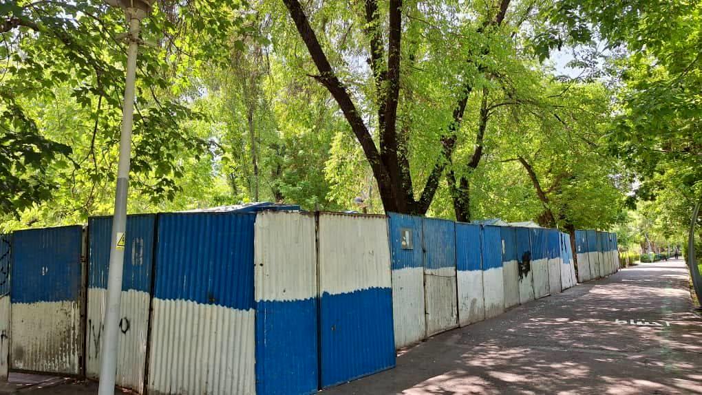 حصارکشی پارک‌ها به لاله رسید/ جان درختان در خطر است؟+عکس