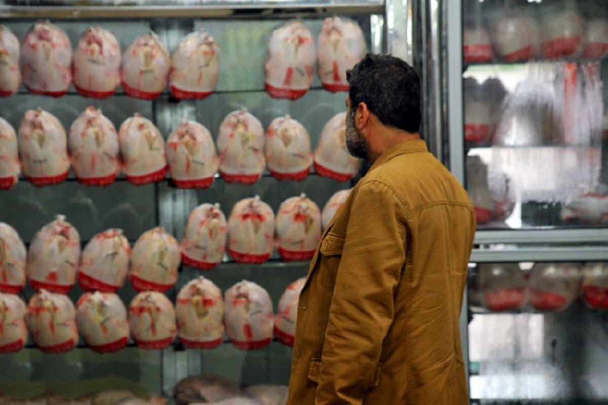بحران مرغ در ایران  / کم‌ کم با مرغ خداحافظی کنید