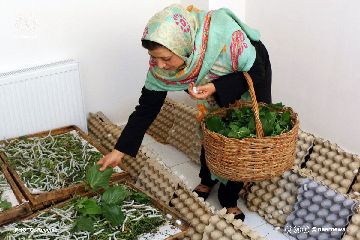 خبر مهم مالیاتی برای صاحبان مشاغل خانگی