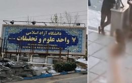  خانم برهنه دانشگاه علوم تحقیقات در بیمارستان روانی بستری شد/ مغزم توسط دیگران و با ماهواره هدایت می شود